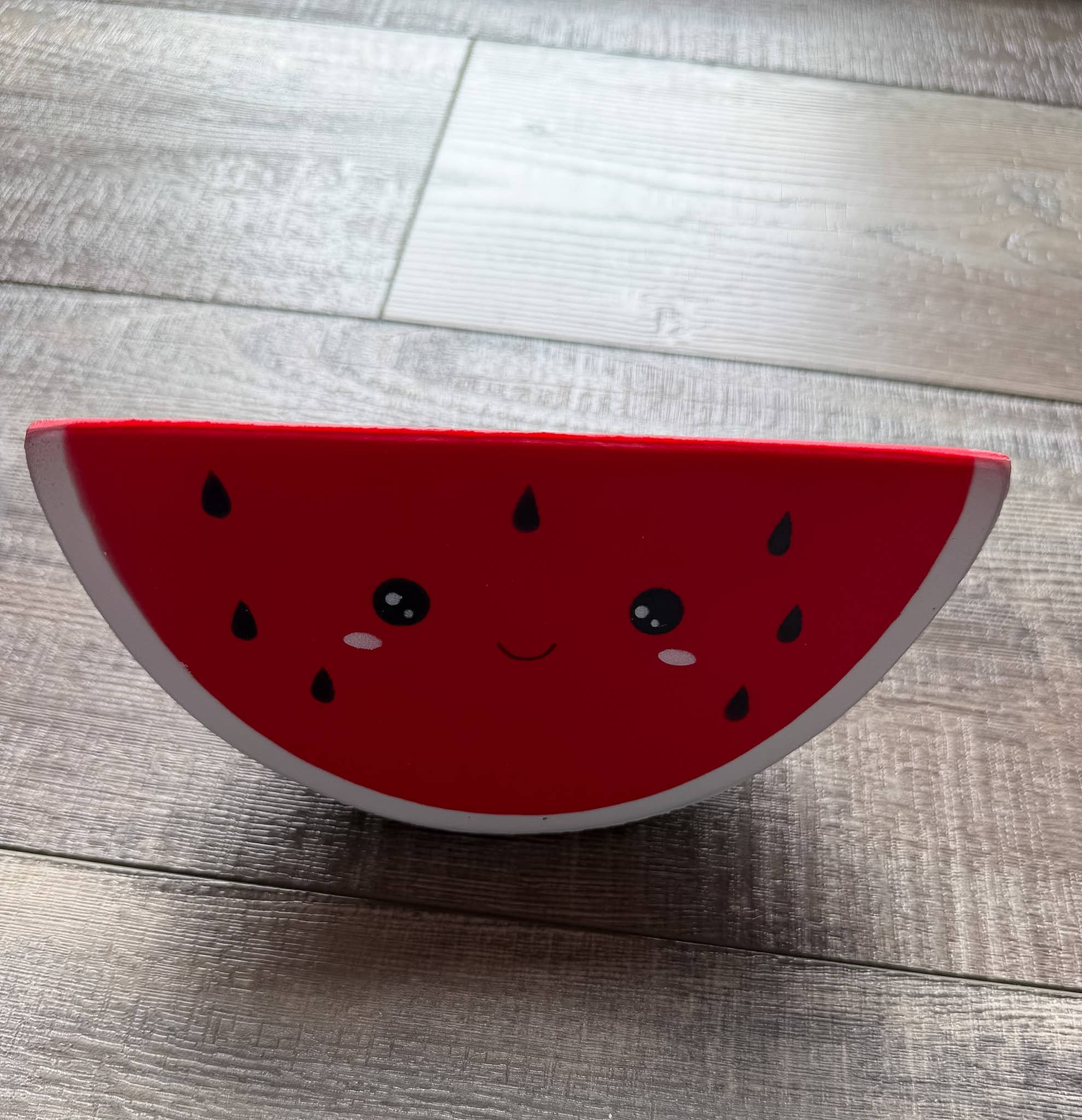 Watermelon Squishy 🍉✨