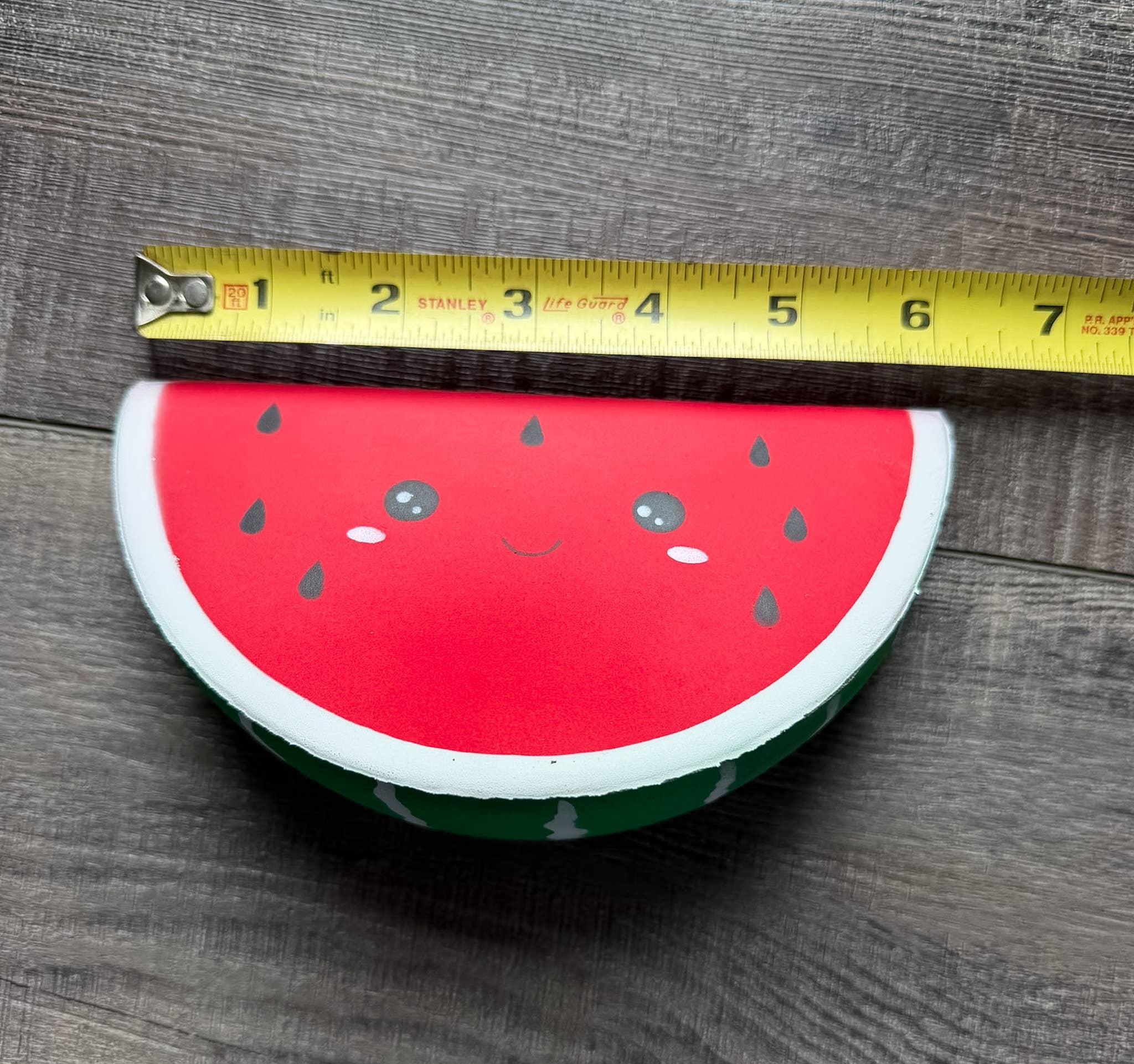 Watermelon Squishy 🍉✨